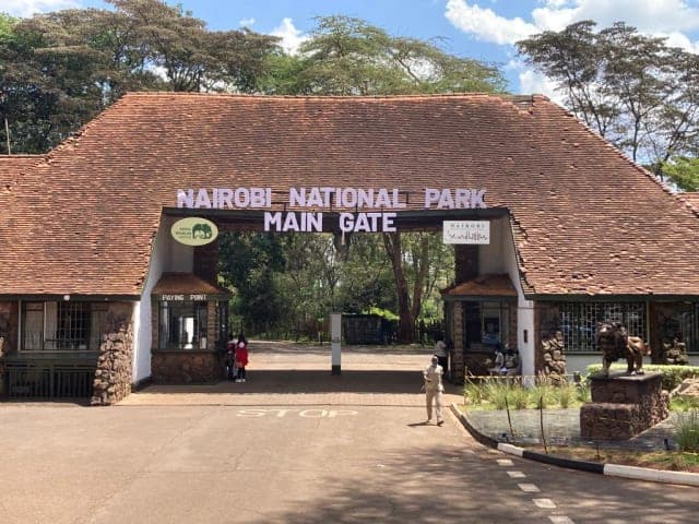 1-Day Nairobi National Park Safari, Kenya