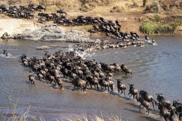 3-Day Great Migration & River Crossing in Tanzania