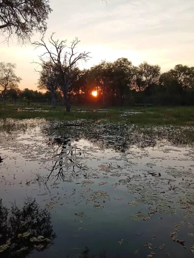 5-Day Okavango Delta Budget Camping