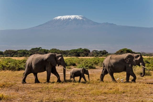 10-Day Kenya Wilderness to Beach Luxury Safari