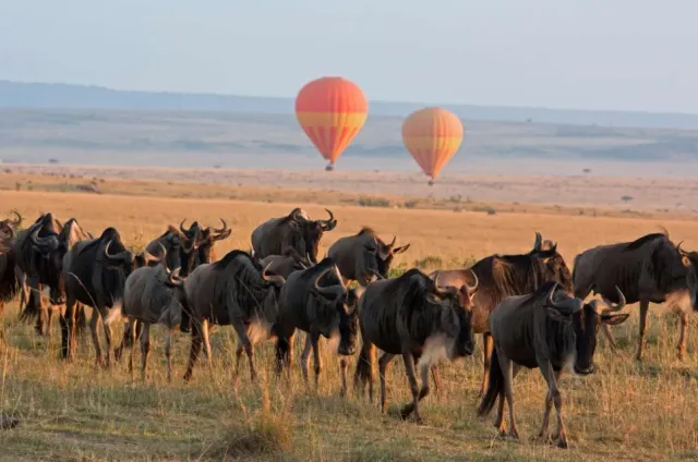 3-Day Great Migration & River Crossing in Tanzania