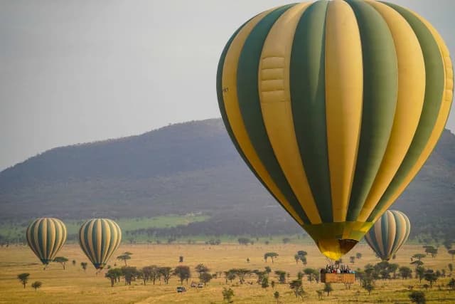 4-Day Fly, Roam and Explore Pure Safari Magic