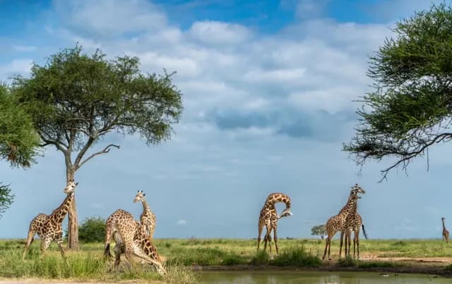 13-Day Grand Tanzania Journey