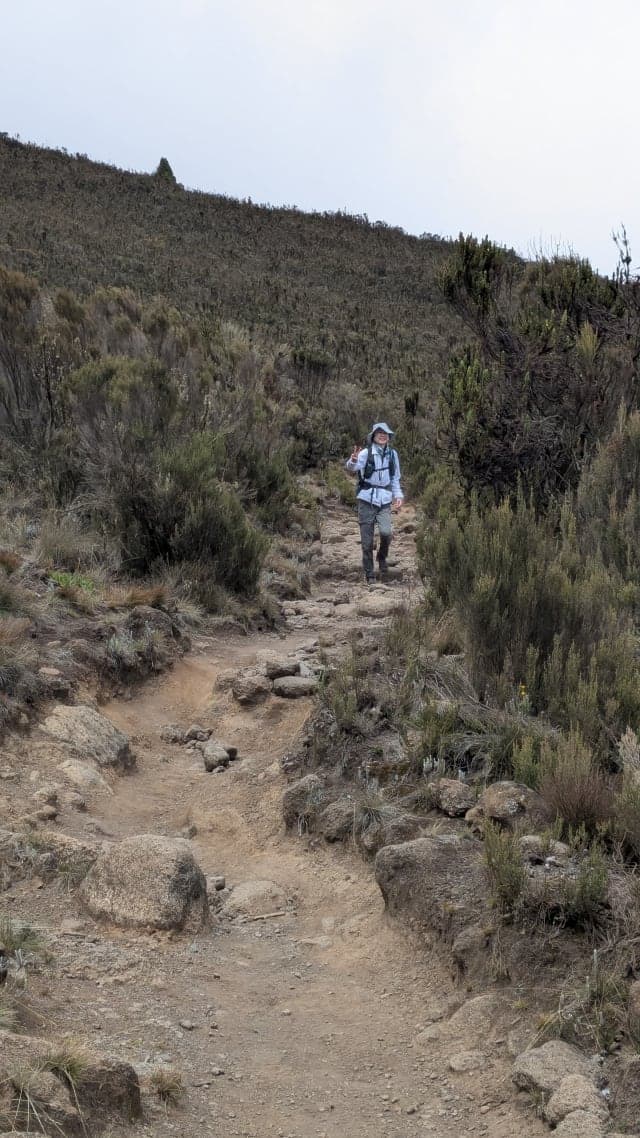 8-Day Mount Kilimanjaro Trekking via Lemosho Route