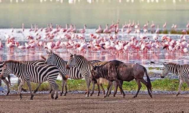 3-Day Wild Safari Adventure Serengeti & Ngorongoro