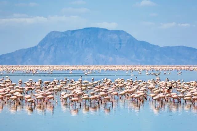 6-Day Affordable Beach to Bush Migration Safari