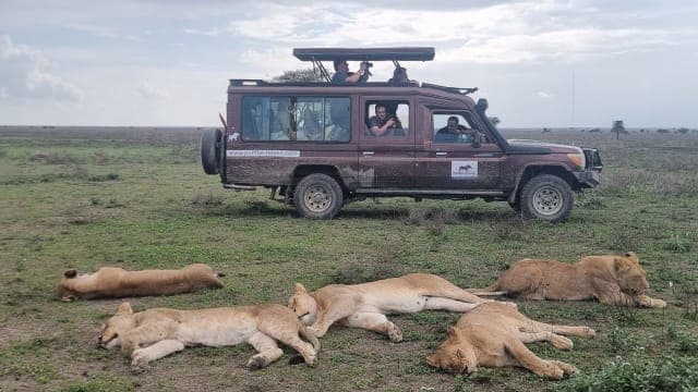 6-Day Great Migration Budget Safari-Special Offer
