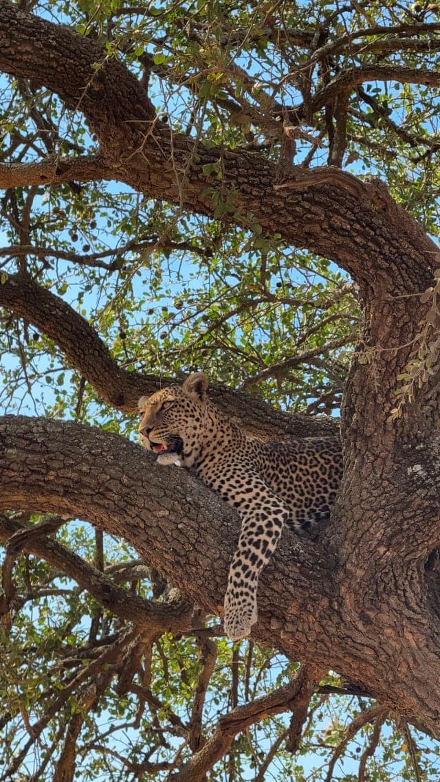 3-Day Best of Tarangire & Ngorongoro