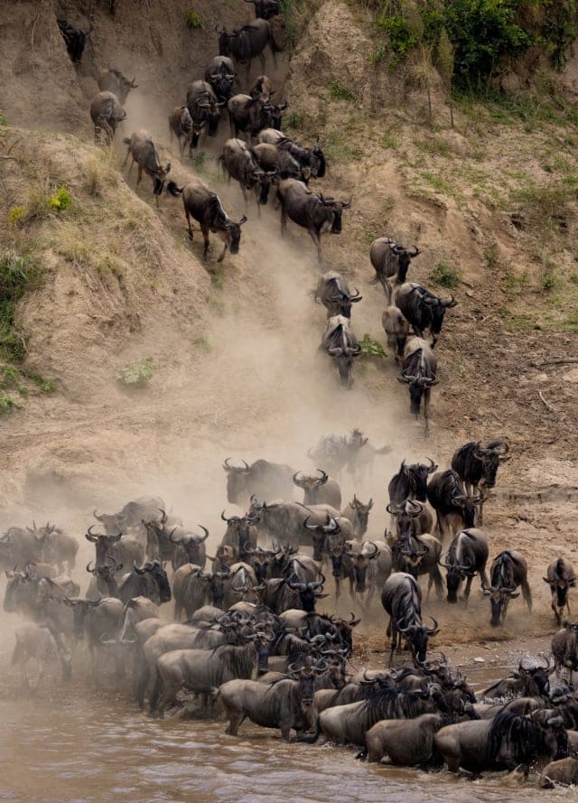13-Day Serengeti Migration, Ngorongoro and Zanzibar Safari