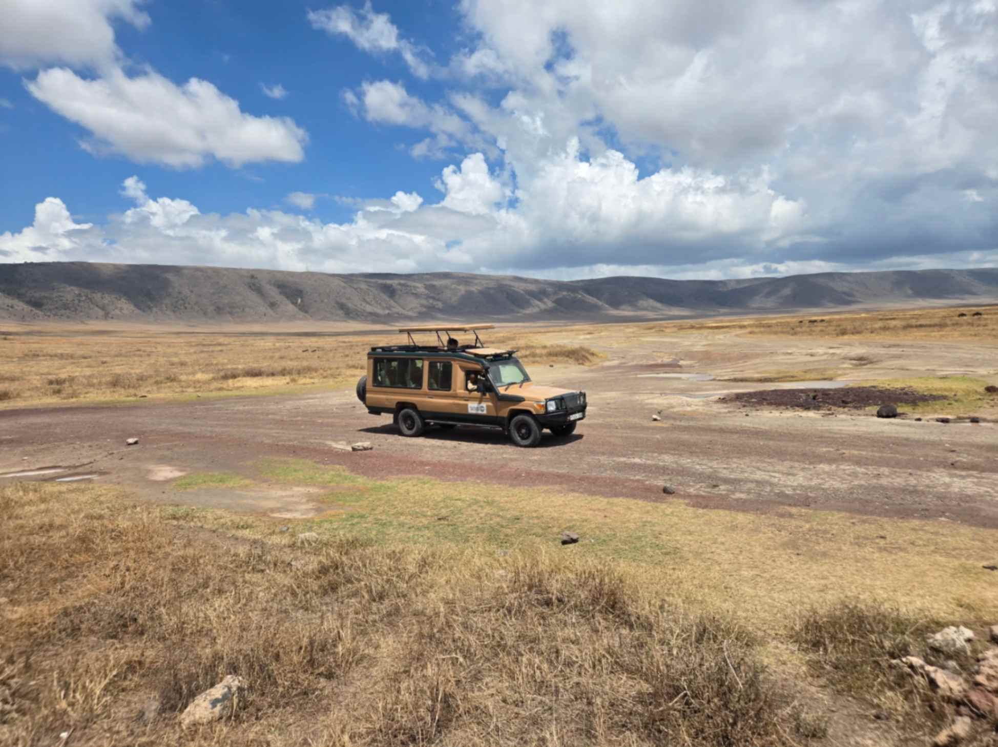 6-Day Sopa Lodges Safari Experience