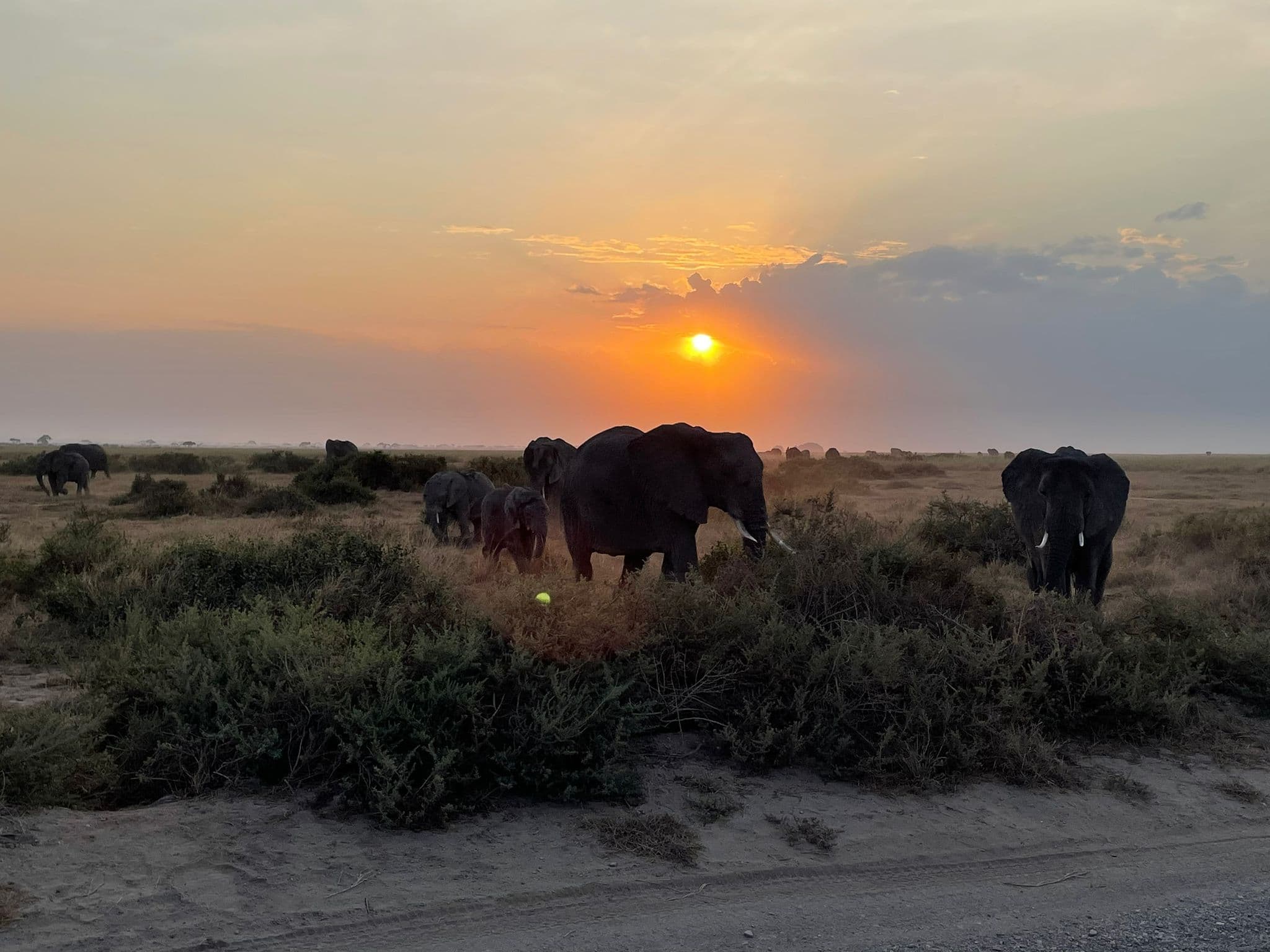 3-Day Greatest Masai Mara Kenya Safari Adventure