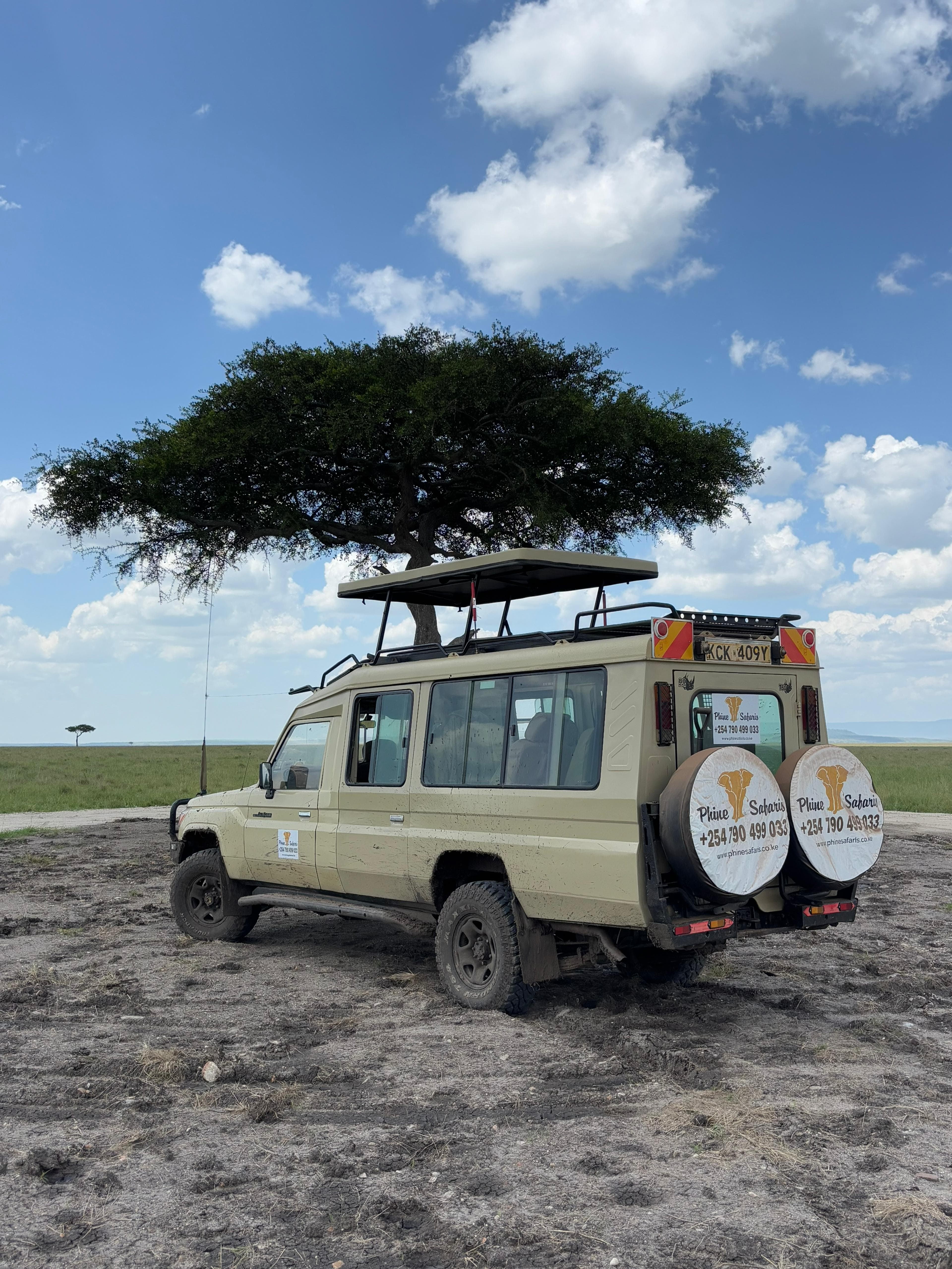 4-Day Nakuru and Maasai mara epic budget safari