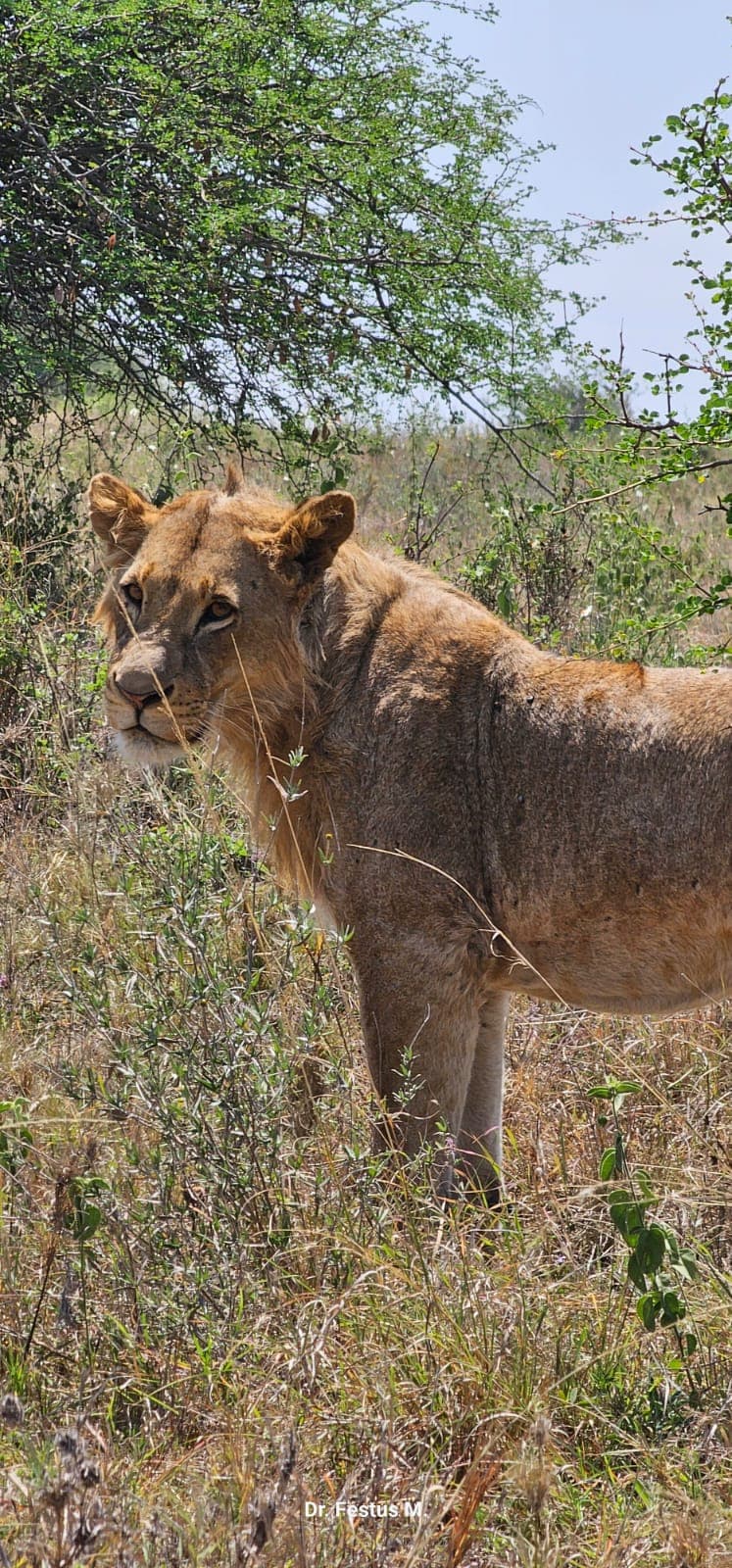 3-Day Days Lake Manyara & Ngorongoro Crater Safari