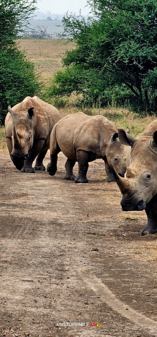 8-Day Kenya Signature Honeymoon