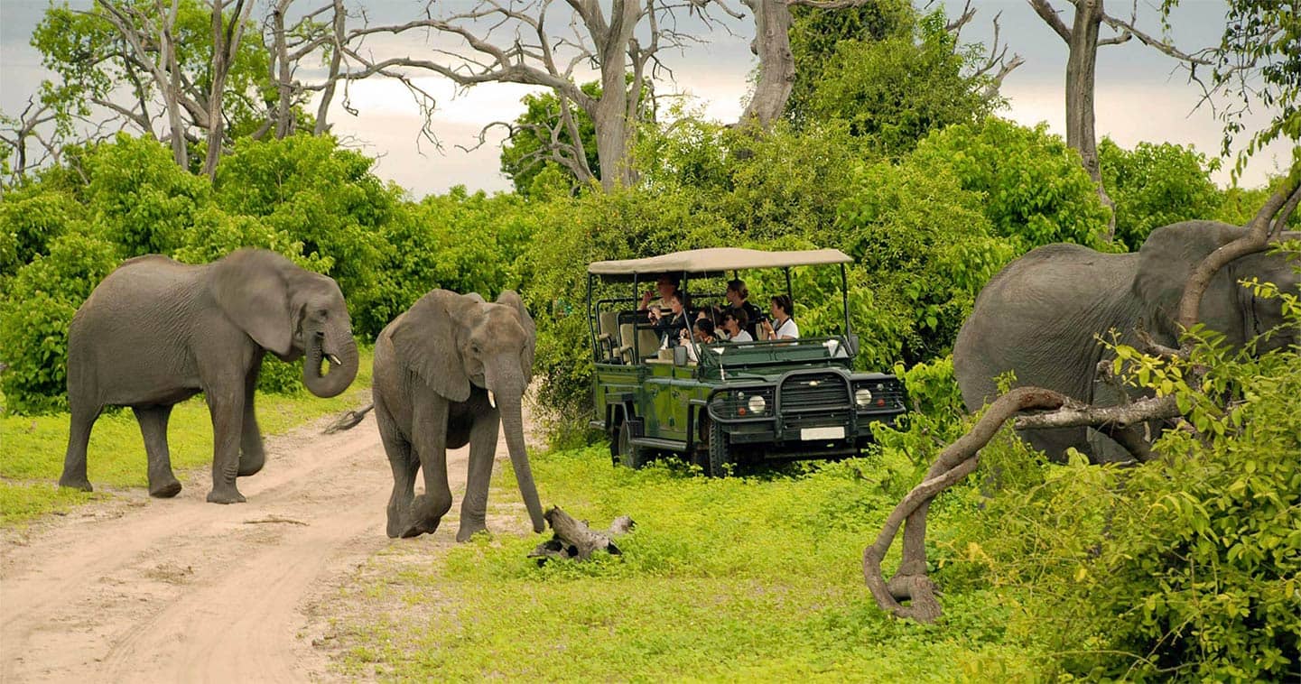4-Day Victoria Falls & Chobe Safari
