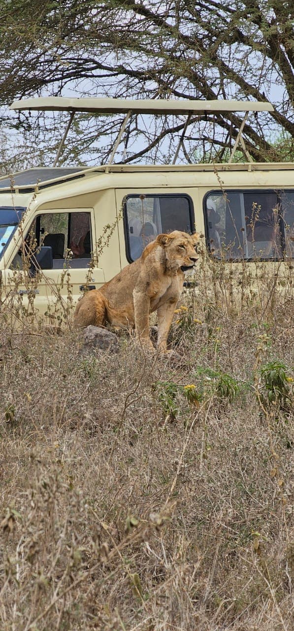 3-Day Days Lake Manyara & Ngorongoro Crater Safari