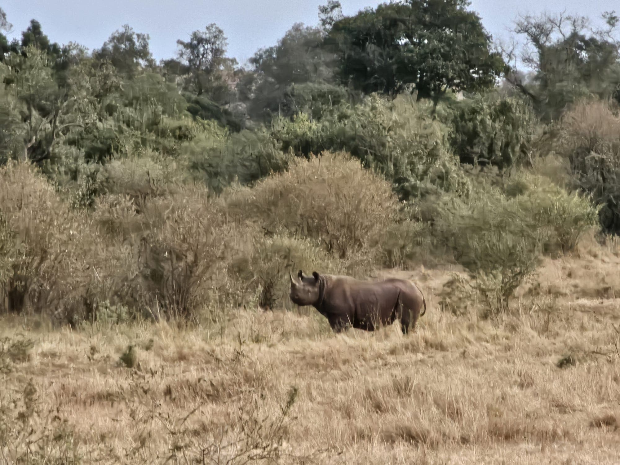 8-Day Kenya Signature Honeymoon