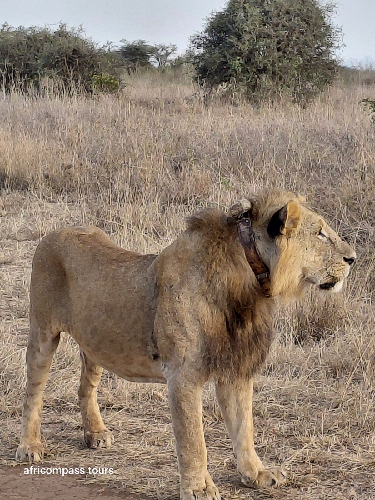 8-Day Kenya & Tanzania Combined Road Safari