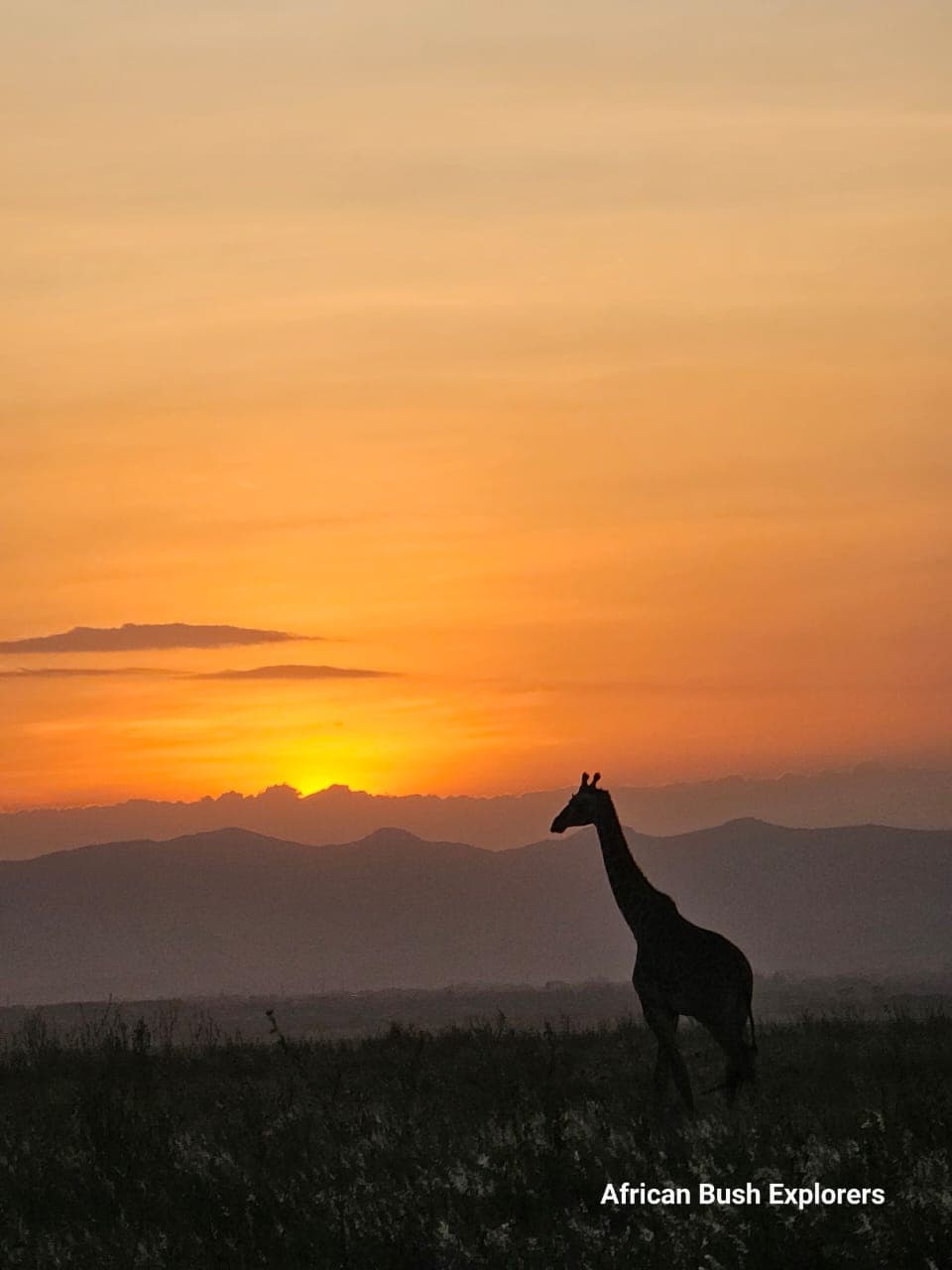 3-Day Maasai Mara NR Wildlife Escape