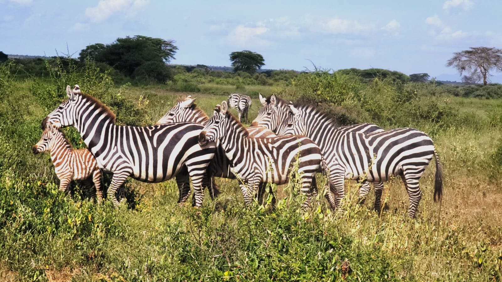 3-Day Kenya Private Safari – Amboseli National Park