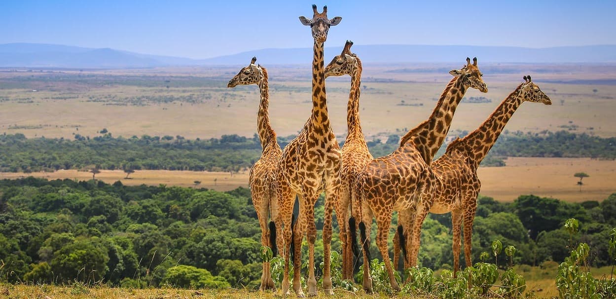 6-Day Best Kenya Budget Safari – Iconic National Parks & Reserves