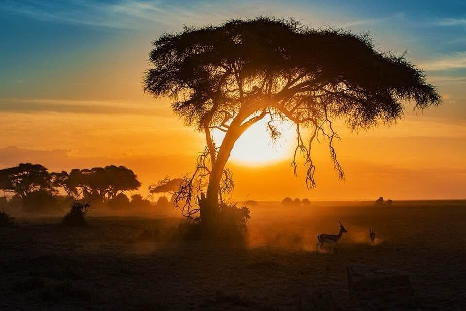 2-Day Amboseli NP Budget Safari