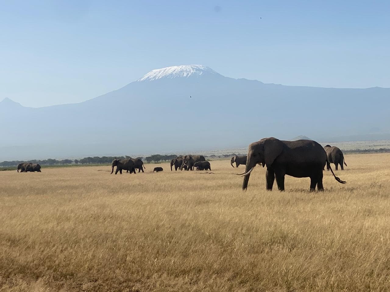 2-Day Amboseli NP Budget Safari