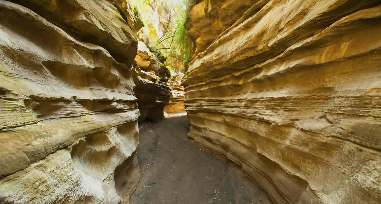 5-Day Affordable Kenya Safari Masai Mara, Lake Nakuru and Lake Naivasha