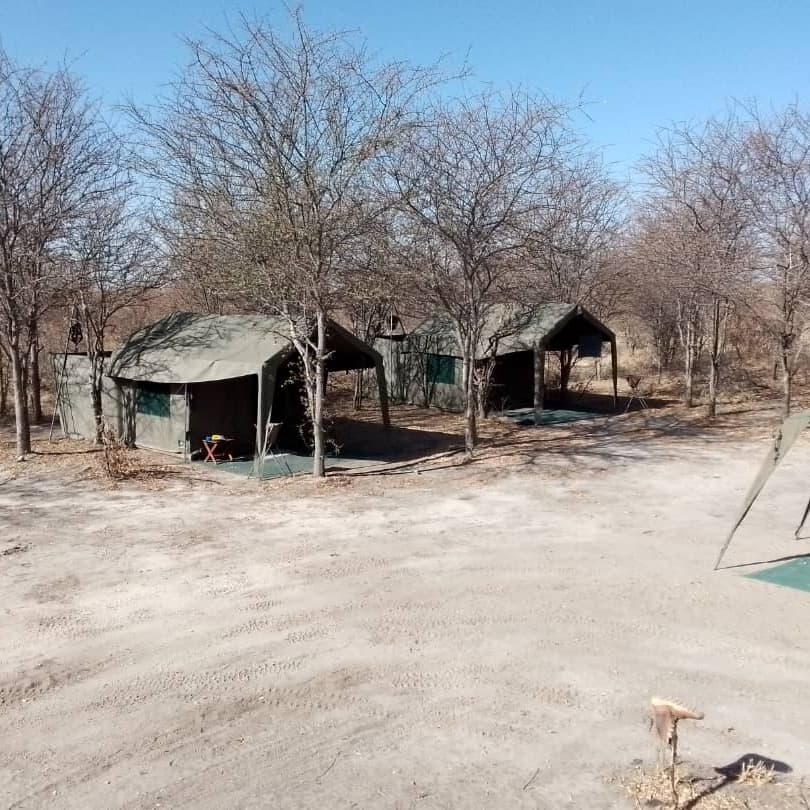 3-Day 3-Day Full Catered Mobile Safari Moremi Game Reserve