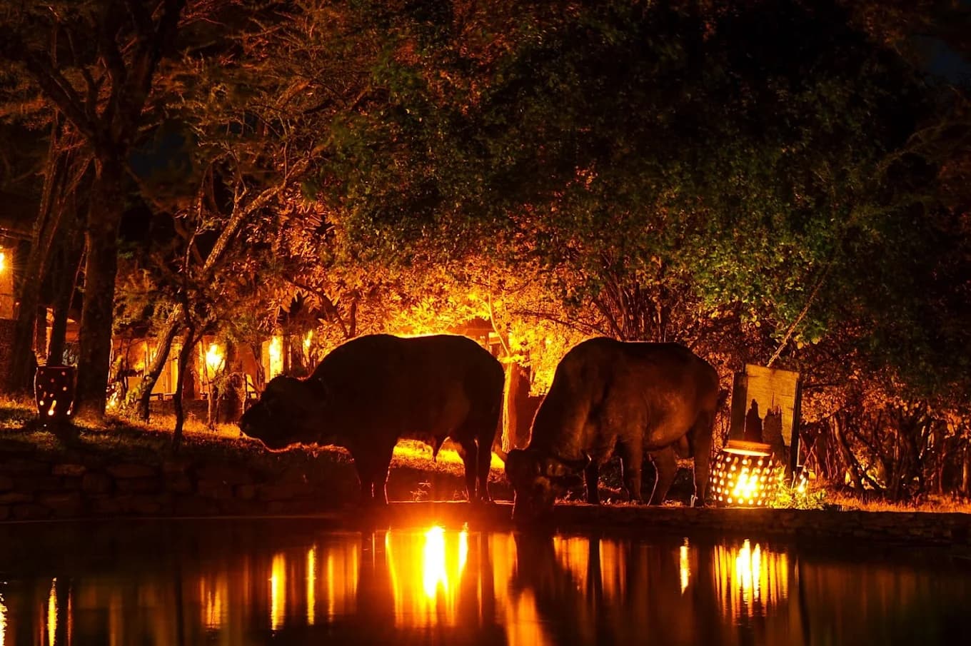 4-Day Great Migration Safari Tanzania Tarangire, Serengeti and Ngorongoro Crater