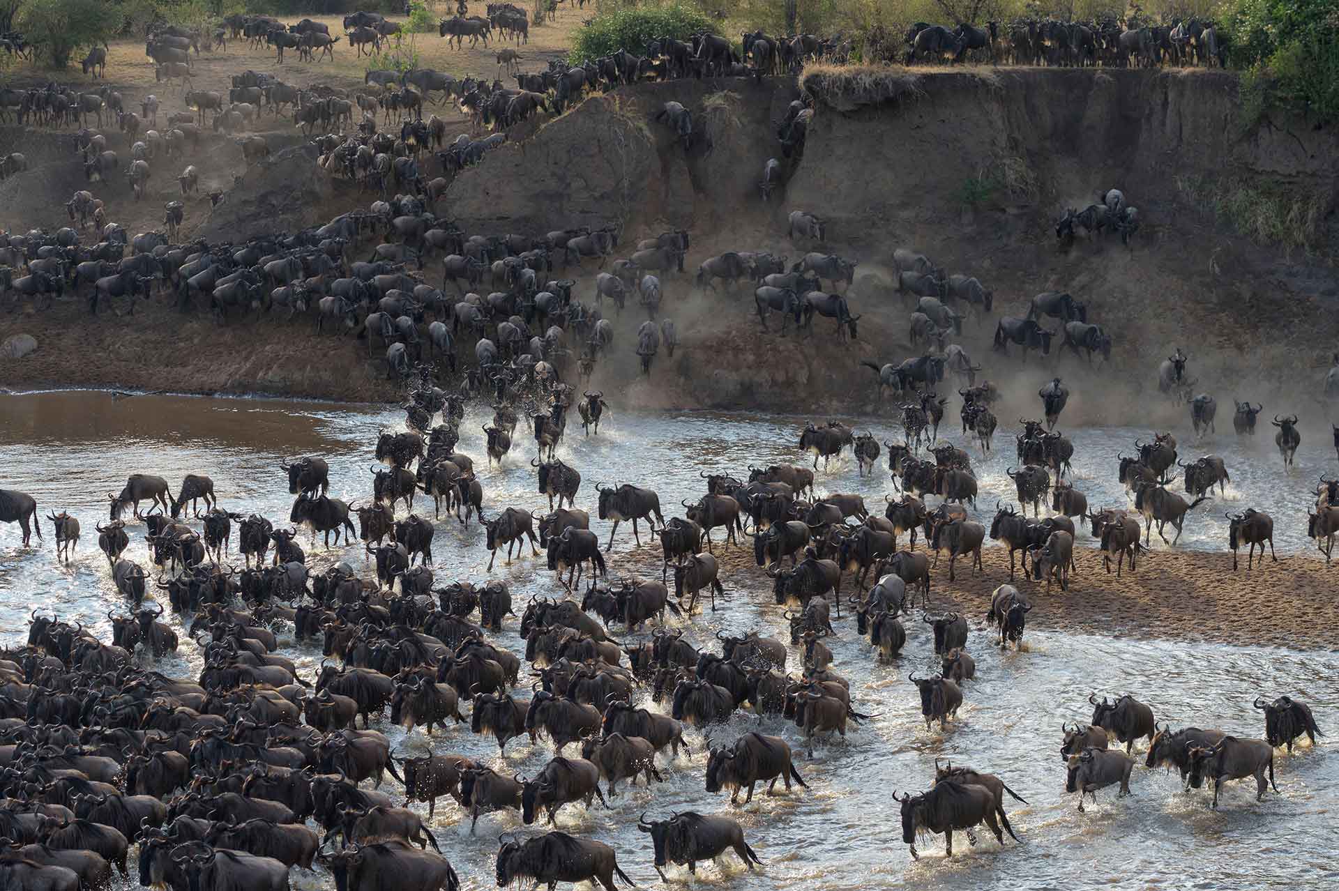 7-Day Kenya & Tanzania Safari - Iconic Parks