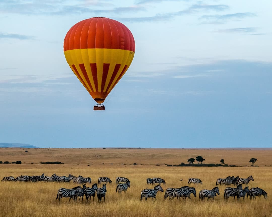 How Much Does a 7-Day Kenya Safari Cost for US Citizens in 2026?
