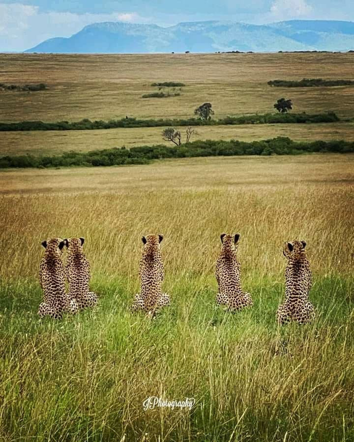 4-Day Masai Mara Budget Safari