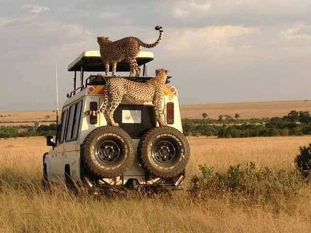 6-Day Magical Kenya Urban and Bush Safari Explorer.