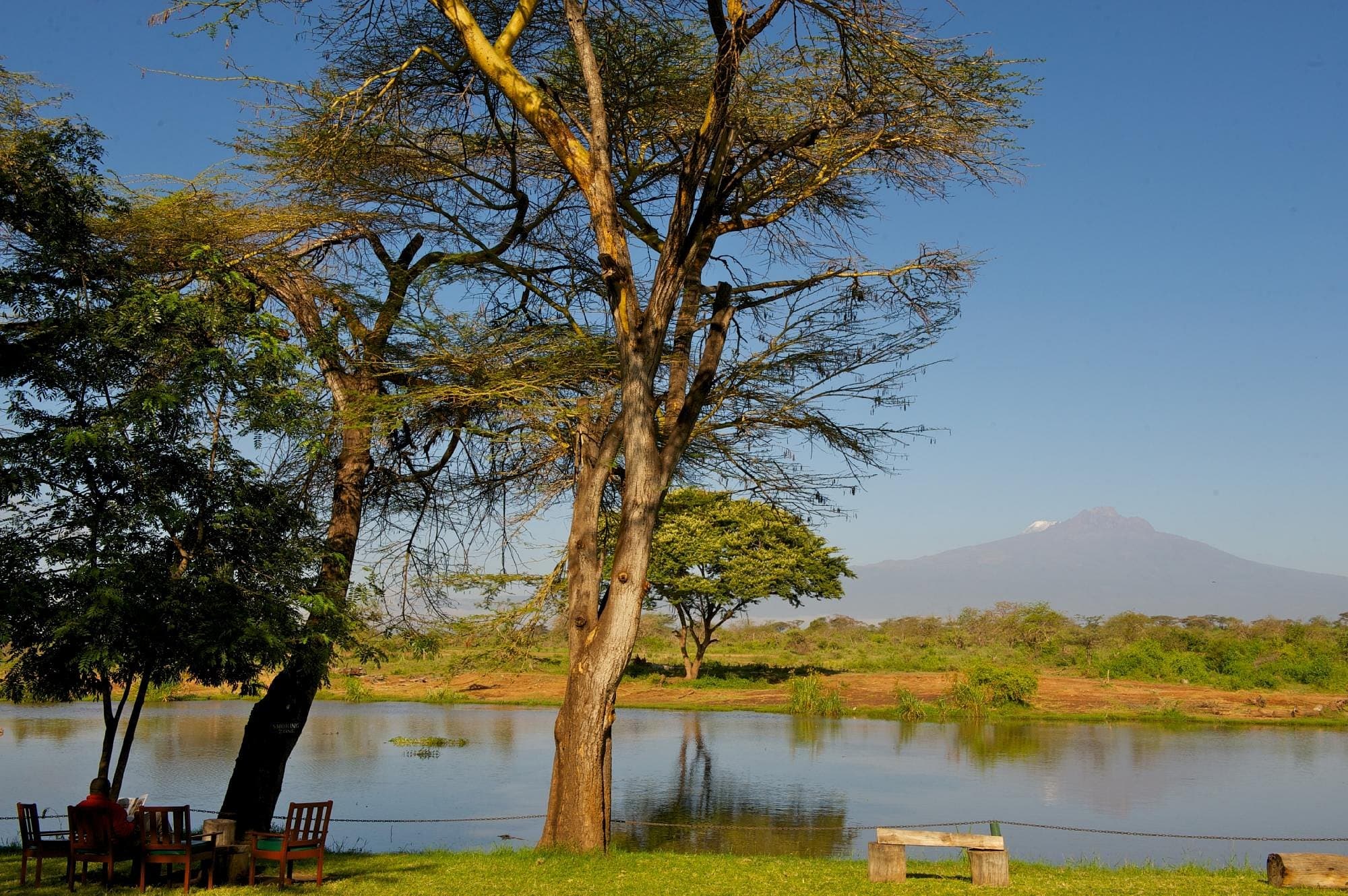 3-Day Magical Ziwani & Saltlick safari