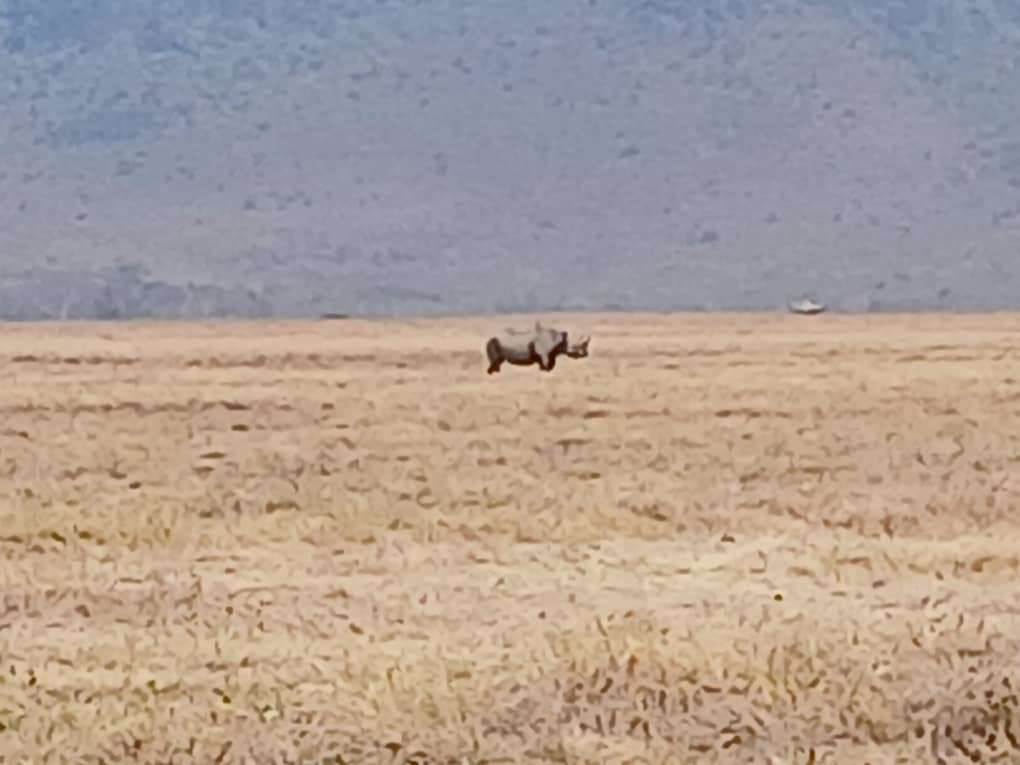 6-Day Incredible Wildlife and Cultural Experience Safari