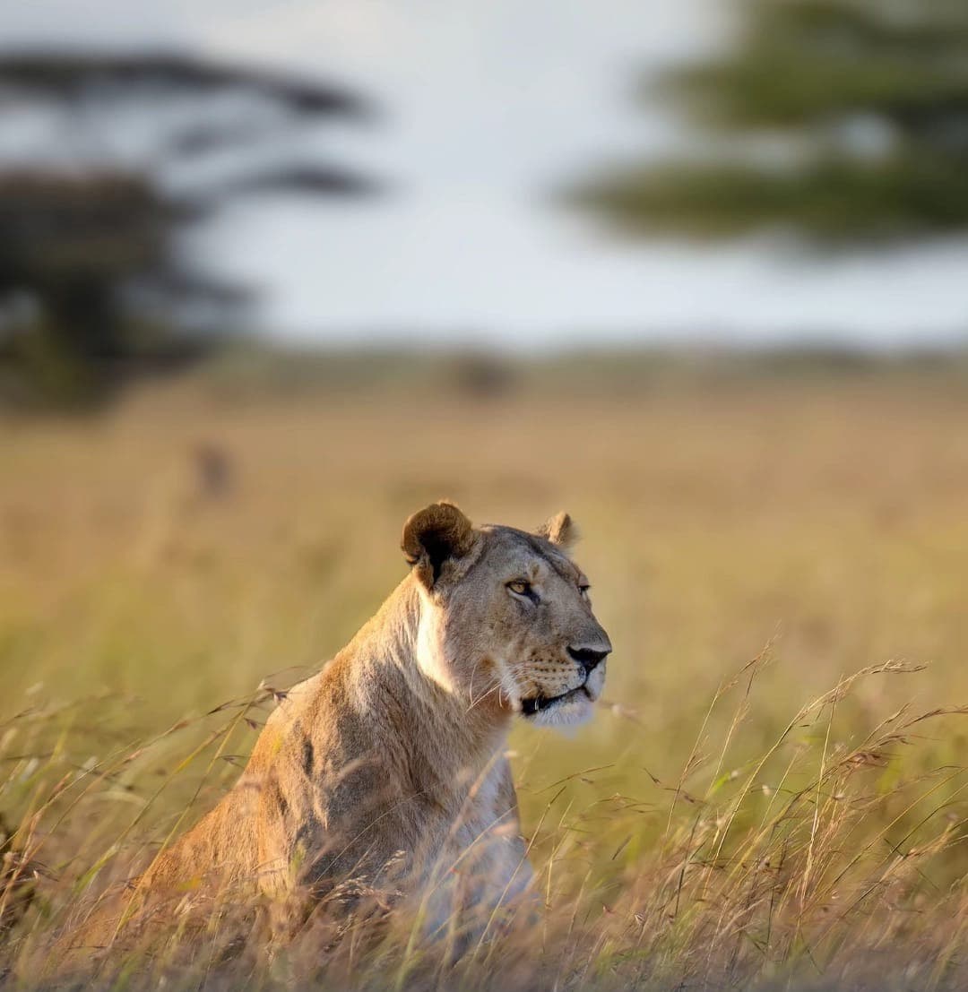 1-Day Nairobi City Excursion