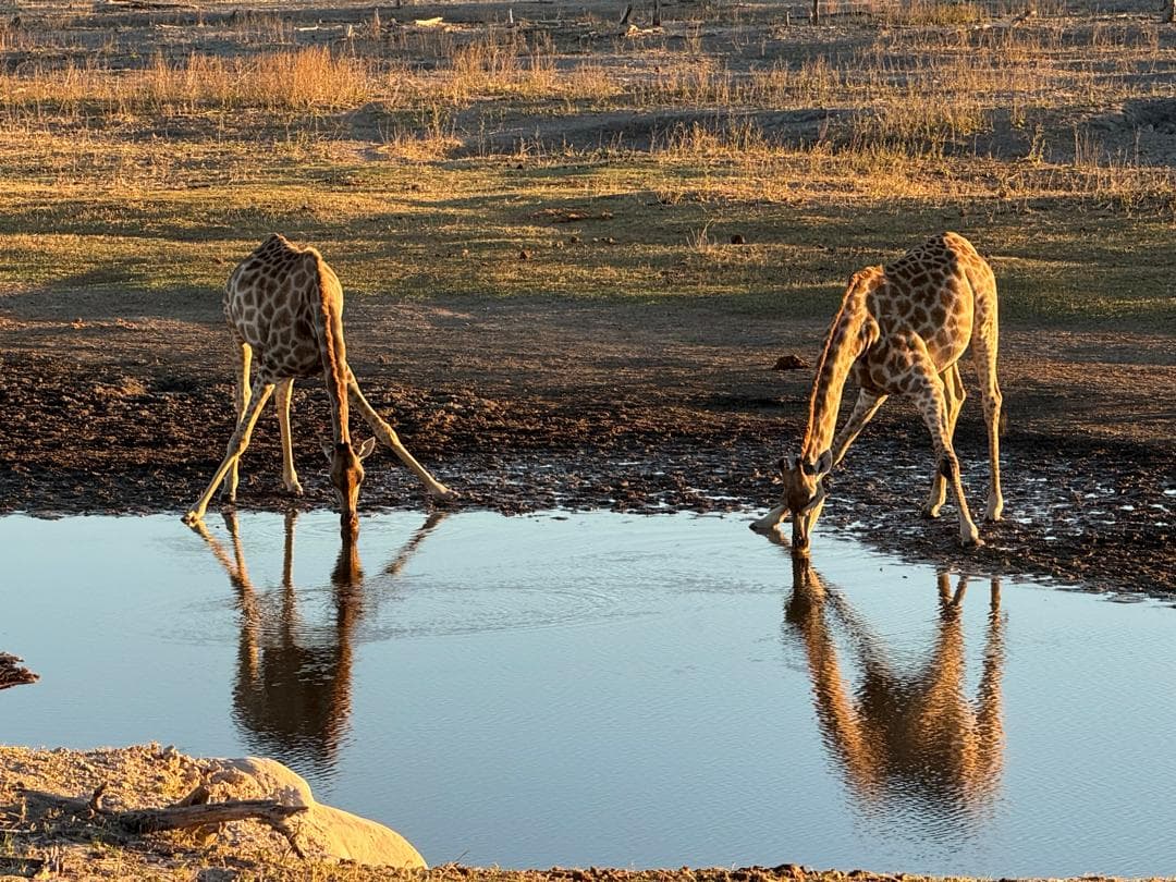 3-Day Okavango Delta Camping
