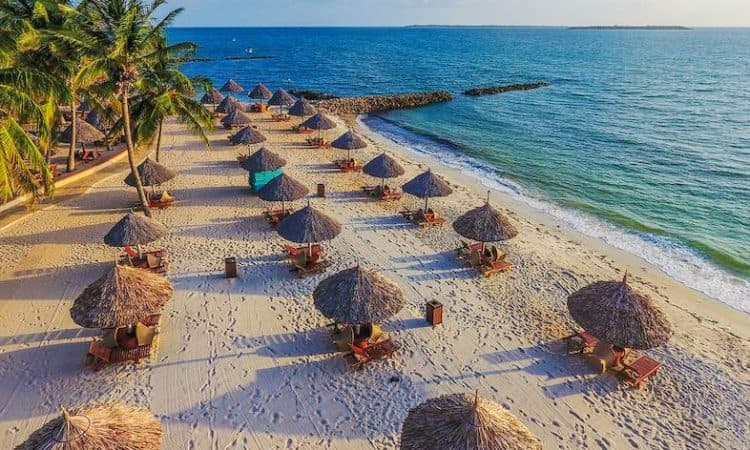 10-Day Wildlife Wonders & Island Magic