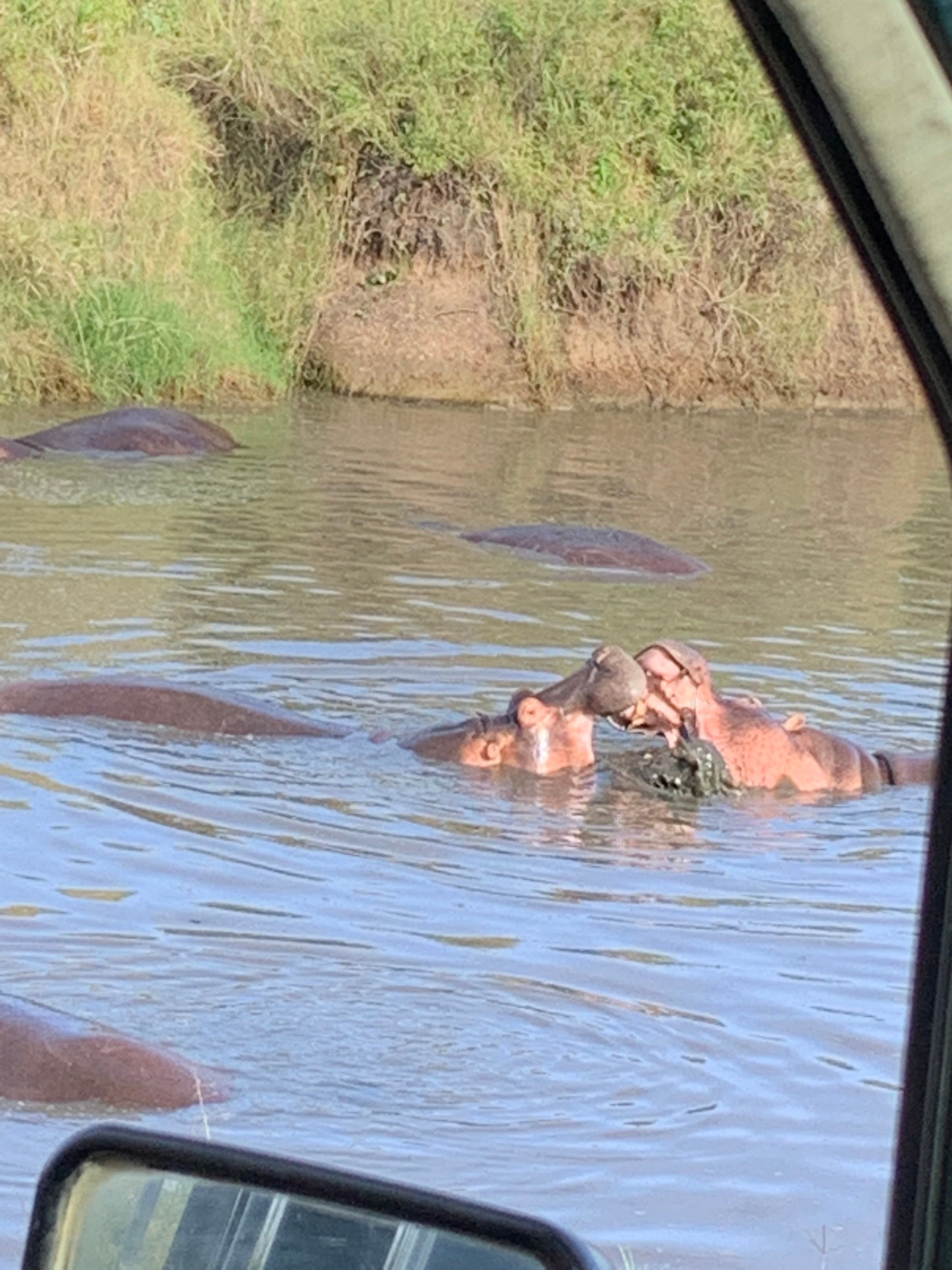 5-Day Serengeti Wilderness Safari Experience