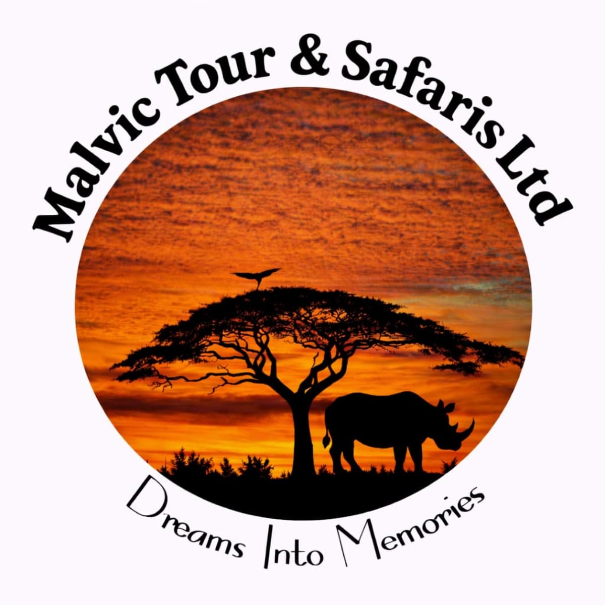 Malvic Tour And Safaris