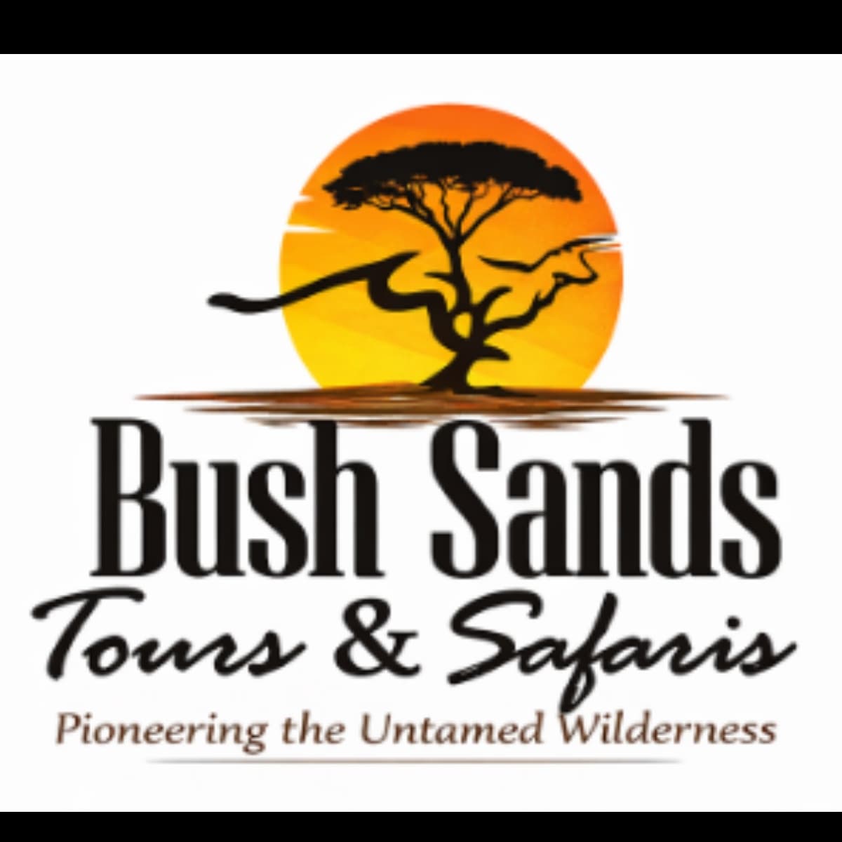 Bush Sands Tours & Safaris logo
