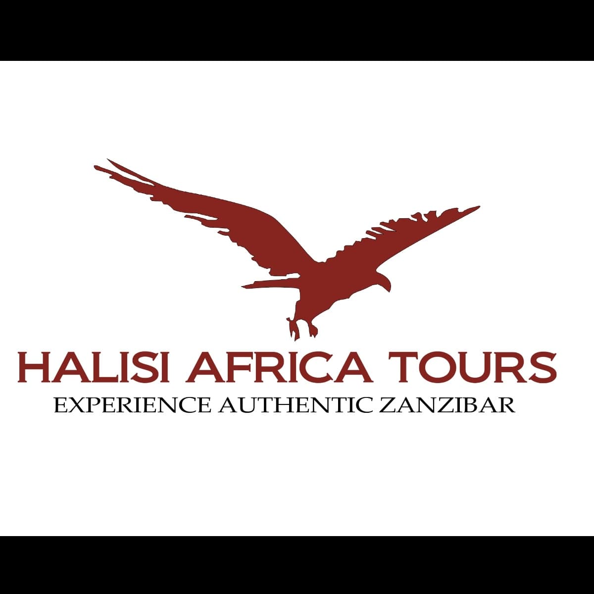 Halisi Africa Tours logo