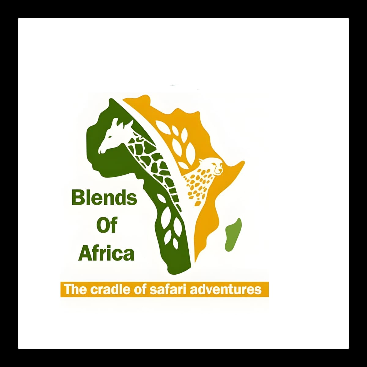 Blends of Africa Adventures