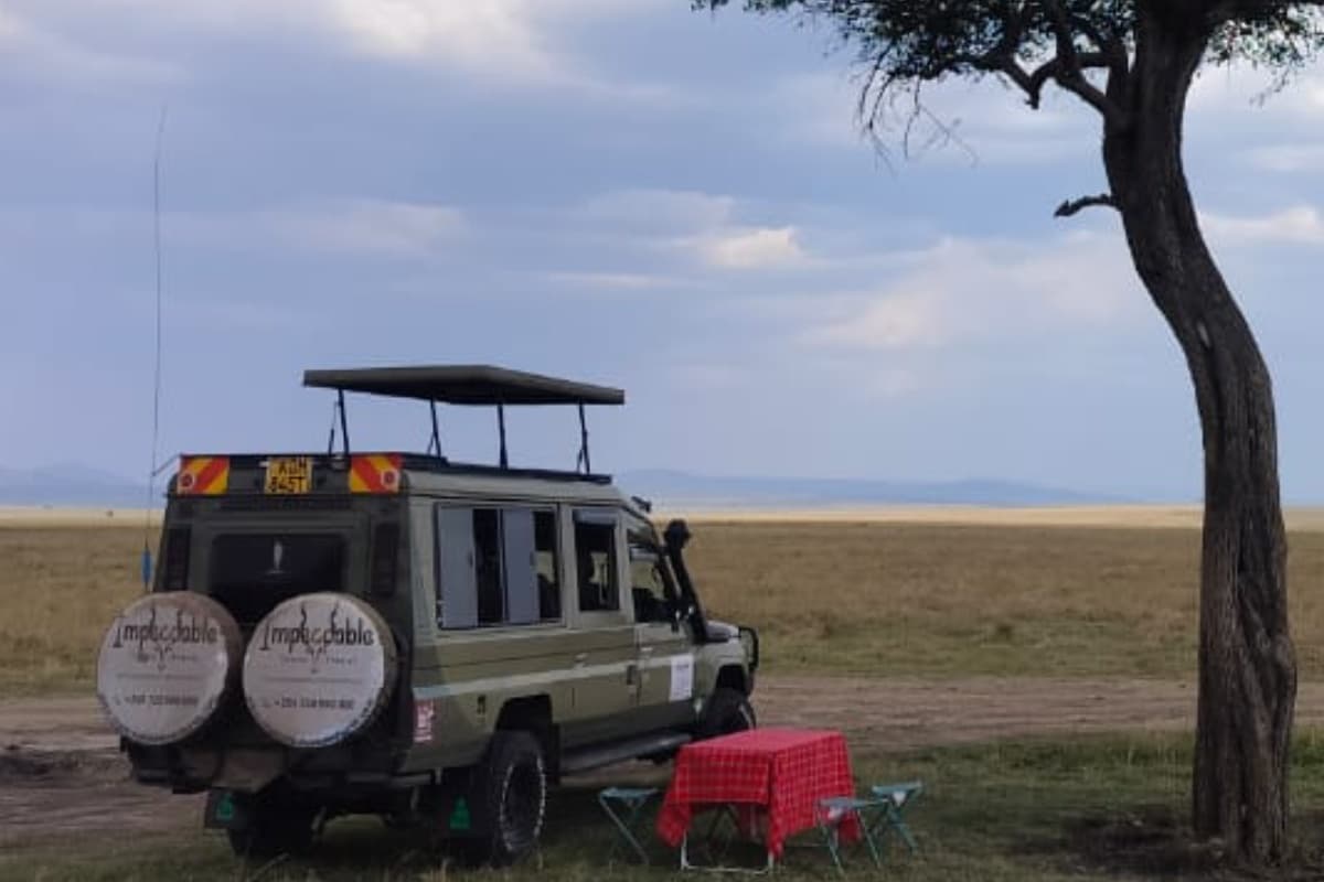 Impeccable Tours And Travel Ltd