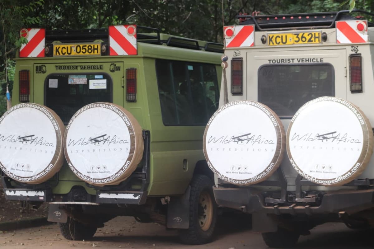 Wild Africa Expeditions