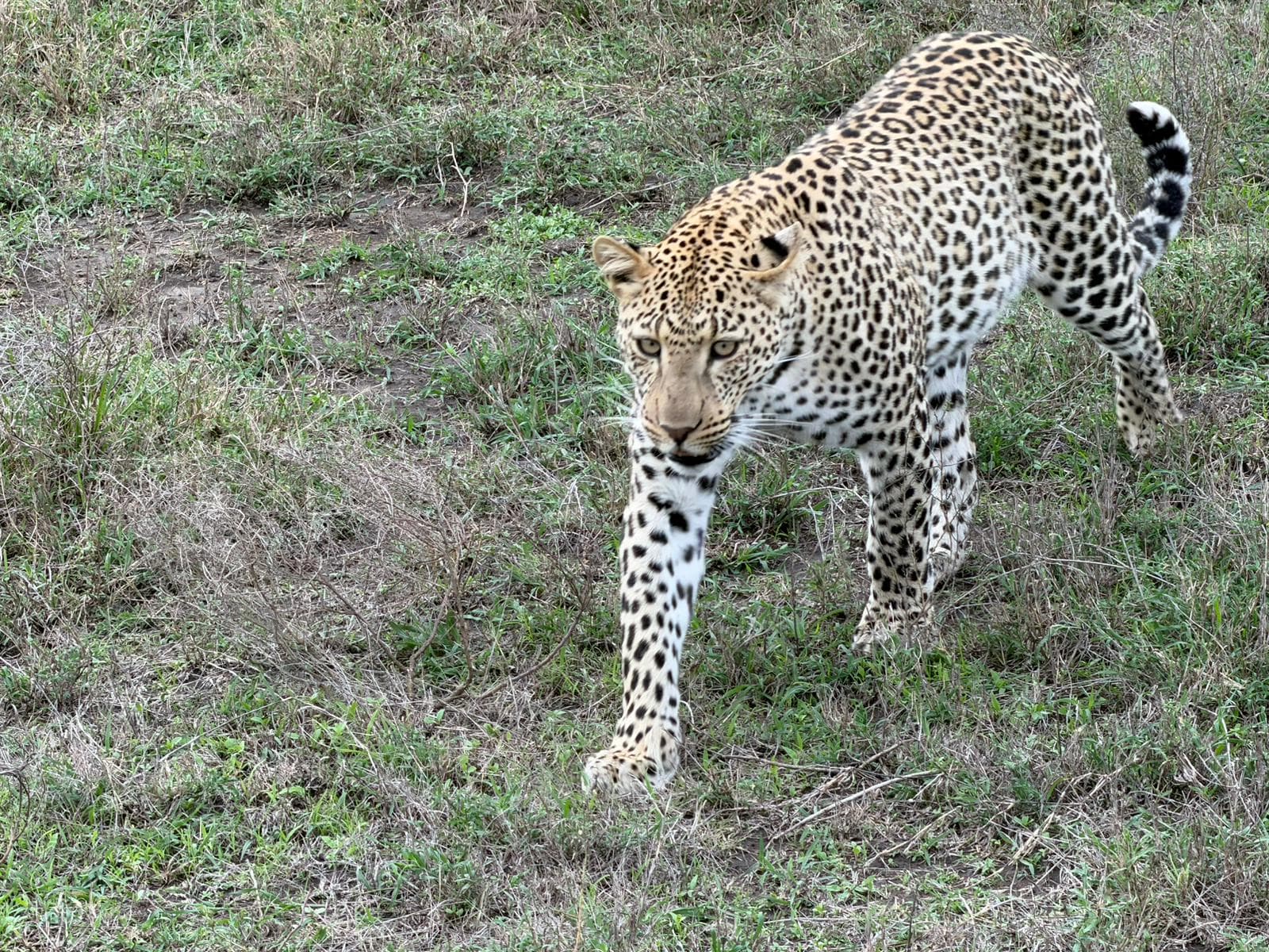 1-Day Visit Arusha National Park.