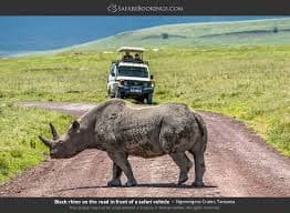2-Day Adventure to Tarangire & Ngorongoro Safari