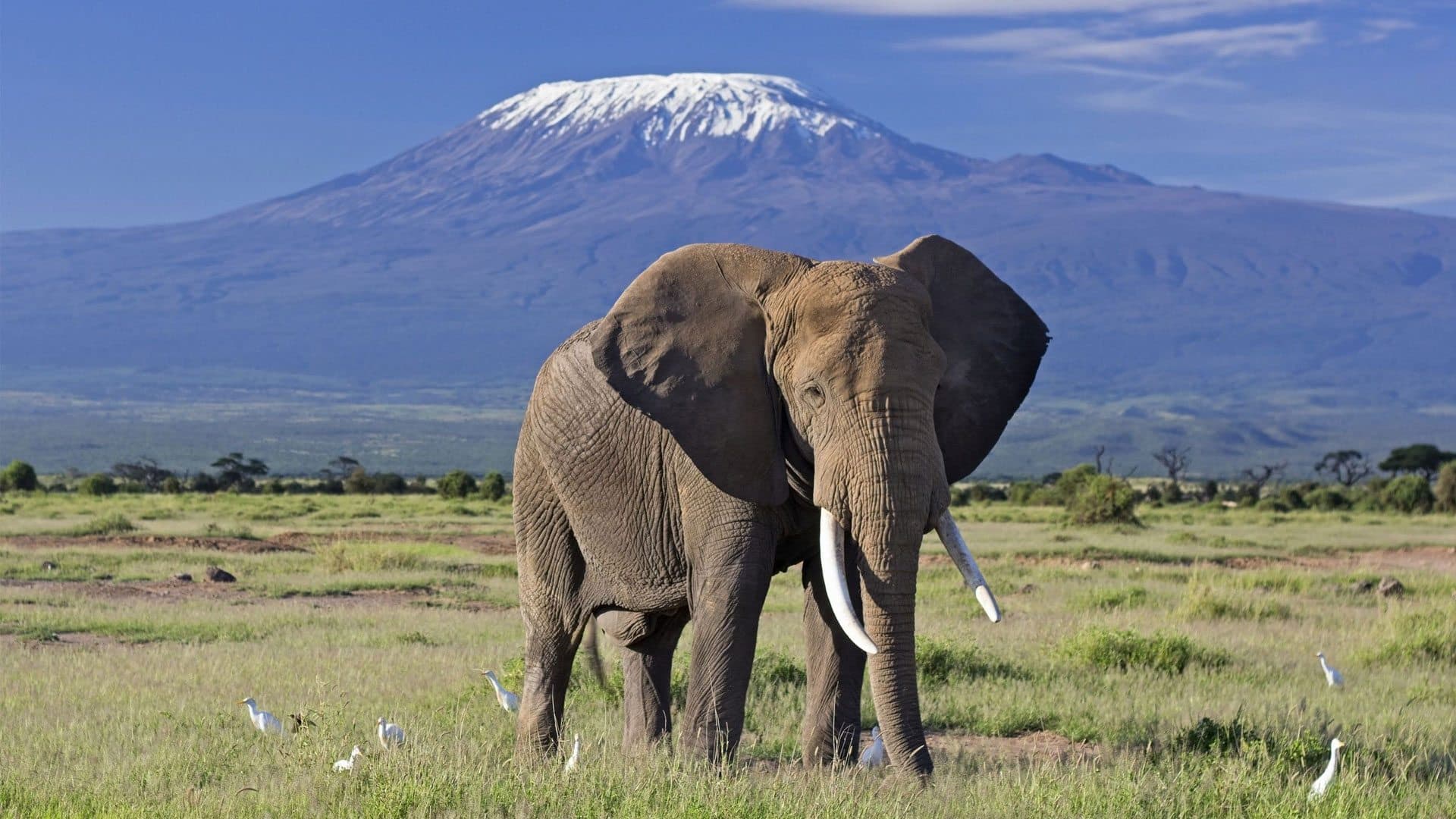 3-Day Amboseli Road Package