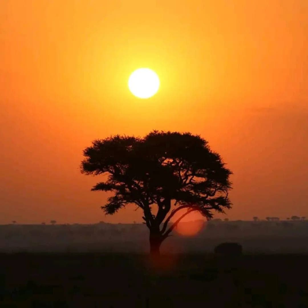 4-Day Northern Tanzania Highlights